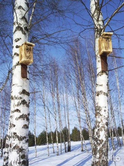 Скворечники и синичники с установкой
