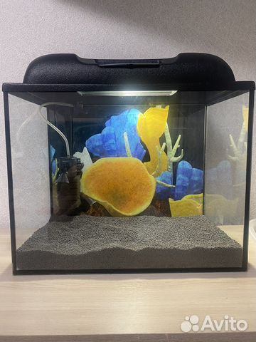 Аквариум 35 литров с полным комплектом