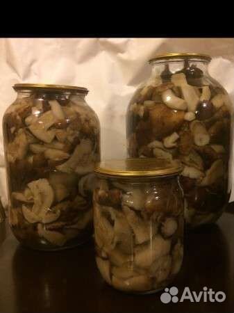 Грибы маринованные валуи