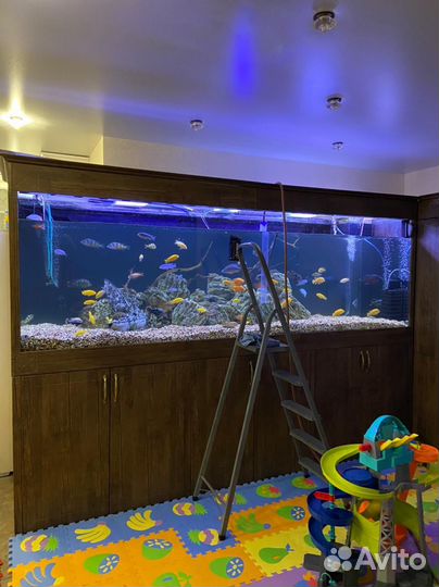 Чистка аквариума