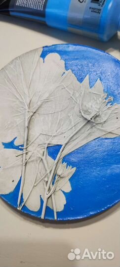 Ботанический барельеф