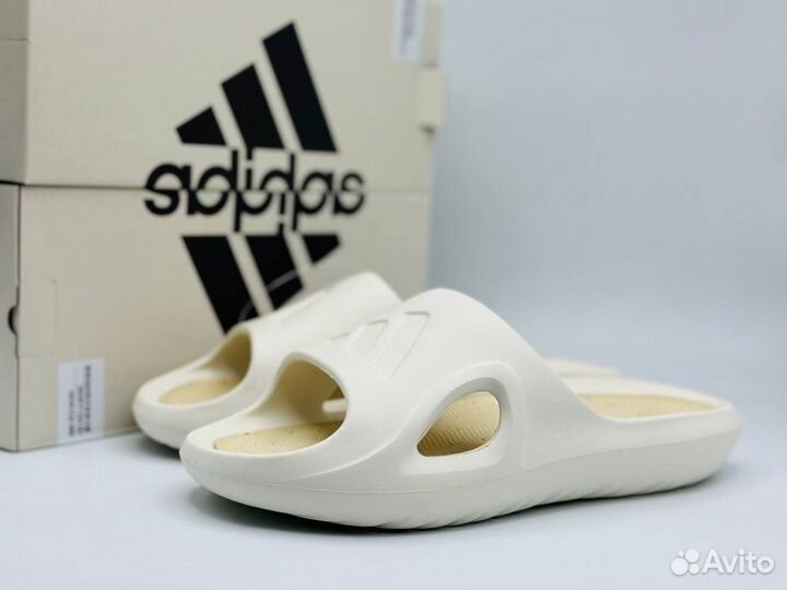 Тапки Adidas Adicane Slides