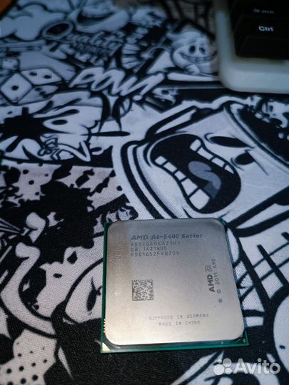 Процессоры под сокет fm2