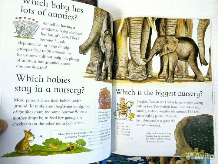 I Wonder whyновые книги на английском языке