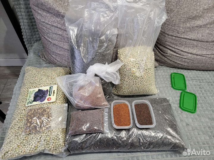 Микрозелень семена