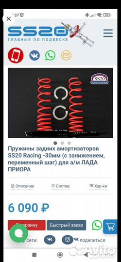 Пружины ss20 -30