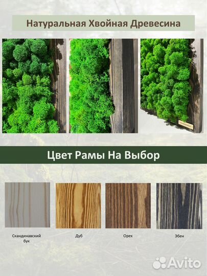 Панно из стабилизированного мха GardenGo