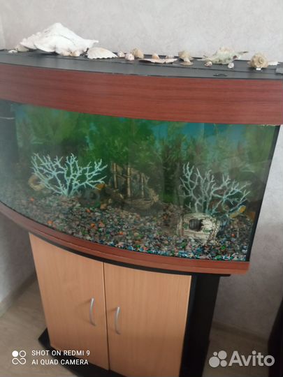 Аквариум с тумбой 170 литров