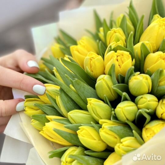 Букет желтых тюльпанов 51 шт. к 8 марта в Москве