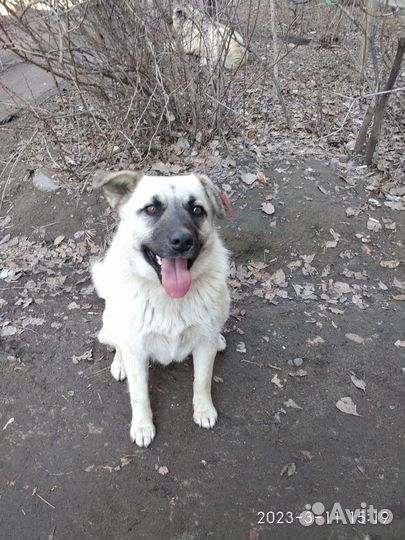 Молодая озорная