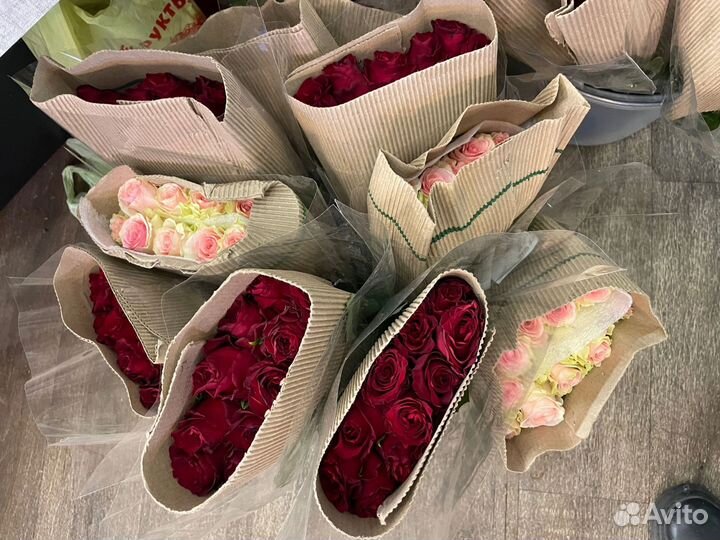 Роза 50 см