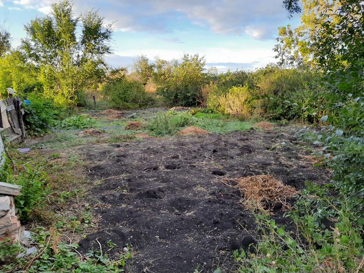 Дом 40,2 м² на участке 12 сот.