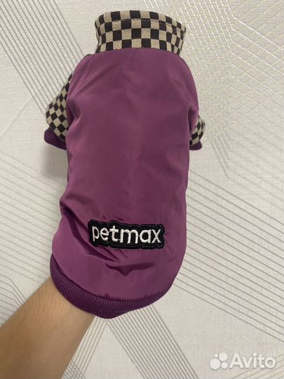 Одежда для собачки