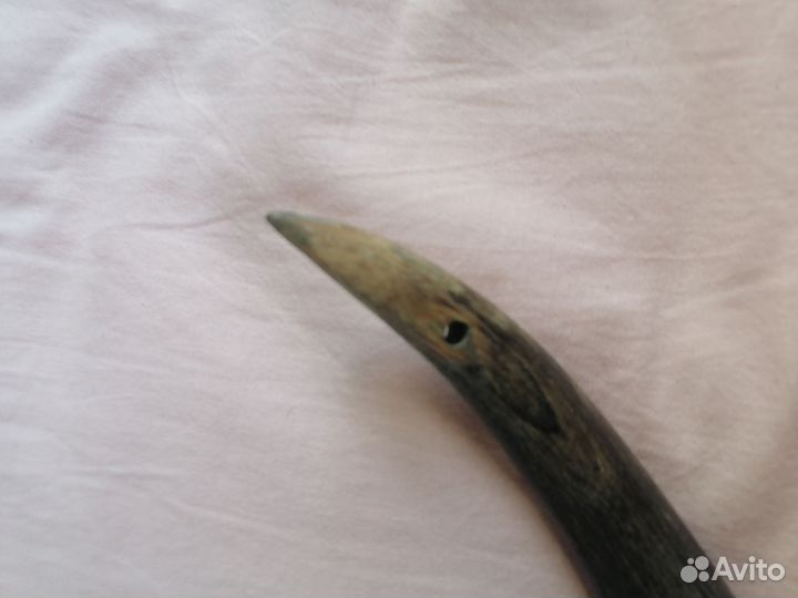 Рог быка большой 2 штуки