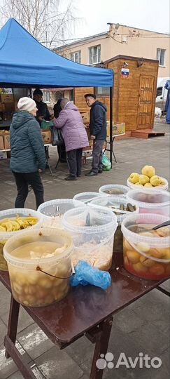 Бочковые соления