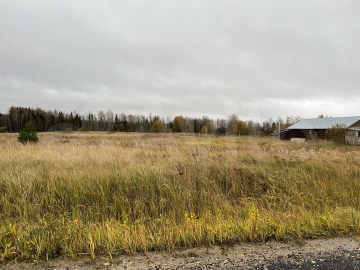 Участок 24 сот. (СНТ, ДНП)