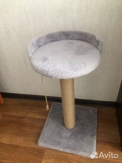 Когтеточка