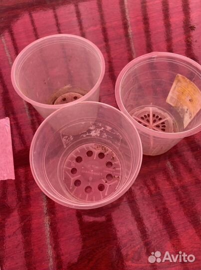 Горшки для рассады