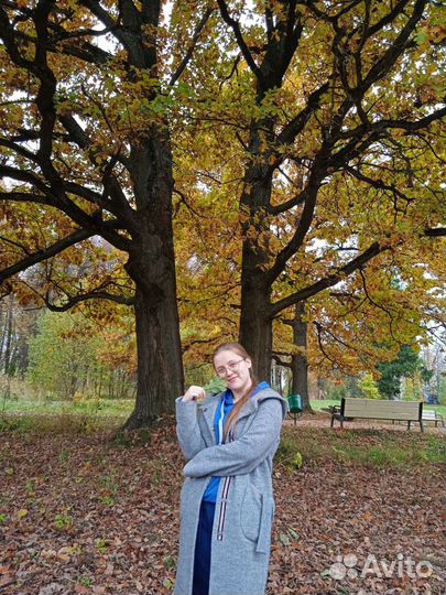 Английский язык репетитор онлайн