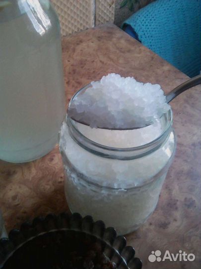 Рисовый гриб