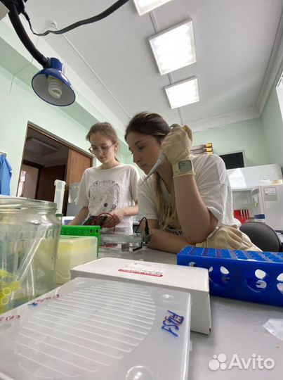 Репетитор по биологии