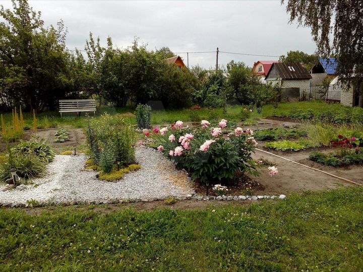 Дача 24 м² на участке 10 сот.