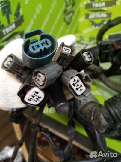 Коса моторного отсека Honda Accord 8 CP1 2.4 K24Z3