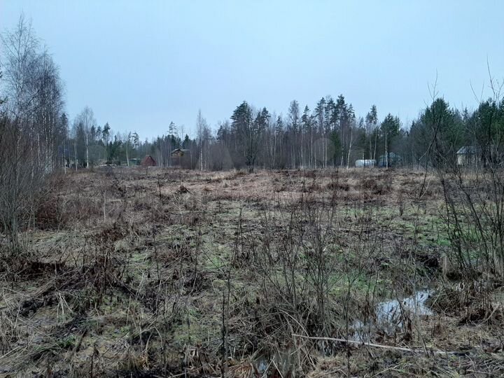 Участок 12 сот. (СНТ, ДНП)