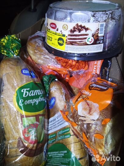 Водитель русский требуется. Списание для животных