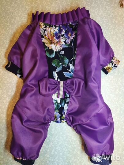 Новый комбинезон для собаки