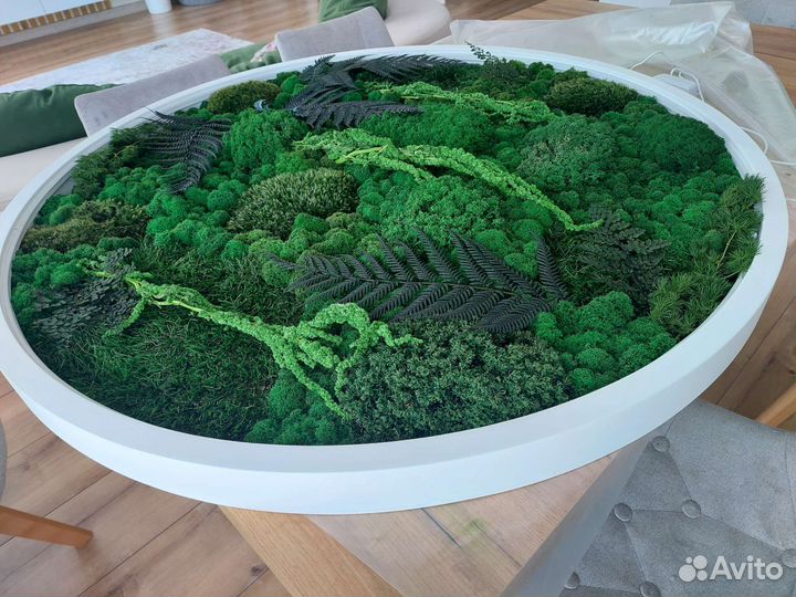 Панно из стабилизированного мха с подсветкой