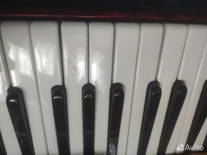 Аккордеон weltmeister festival