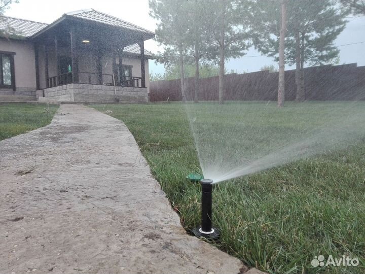 Рулонный газон от производителя + полив