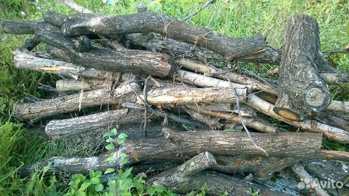 Дрова: Груша, Вишня, Яблоня, Слива