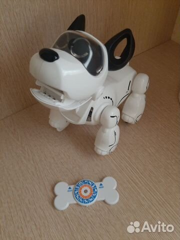 Собака робот