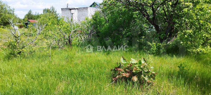 Участок 6 сот. (СНТ, ДНП)