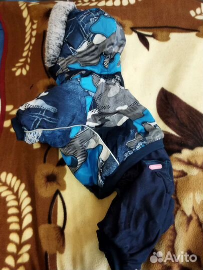 Комбинезон для маленькой собаки
