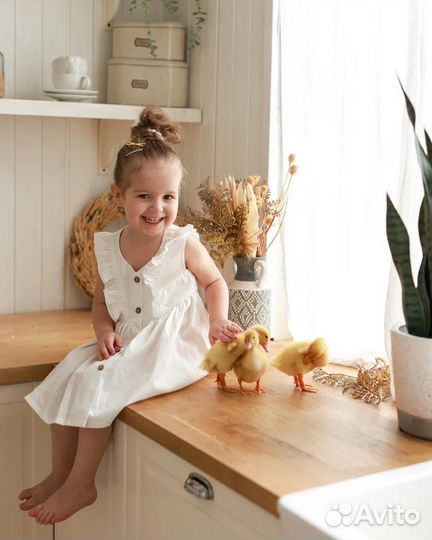 Детская фотосессия с утятами