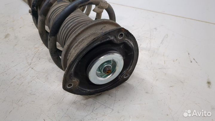 Амортизатор подвески левый передний Volkswagen Tiguan, 2017