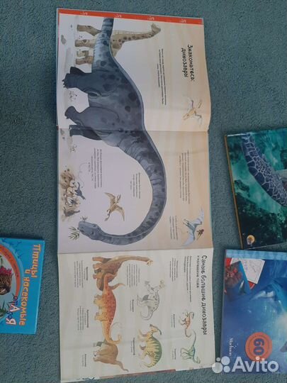 Энциклопедии пакетом