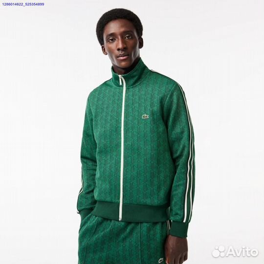 Мужской костюм lacoste (Арт.75783)