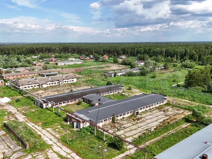 Участок 55,3 сот. (промназначения)