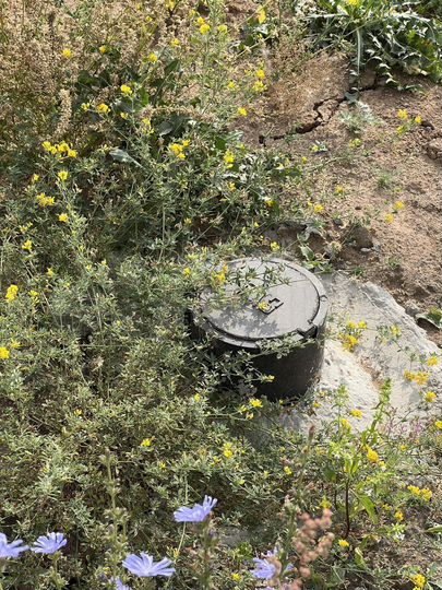 Участок 8 сот. (ИЖС)