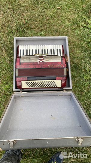 Аккордеон firotti