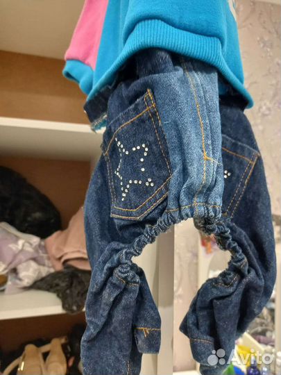 Одежда для маленьких собак