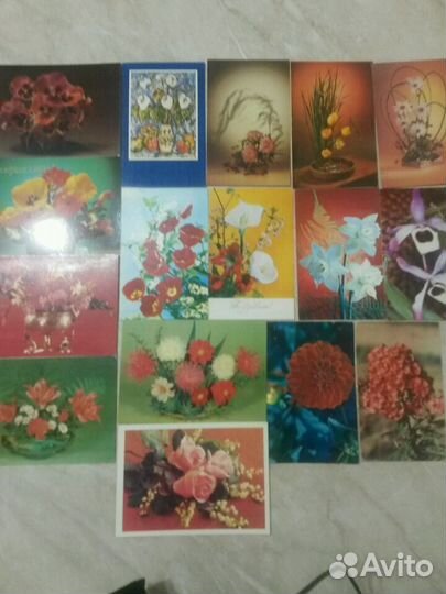 Цветы 1966-70гг