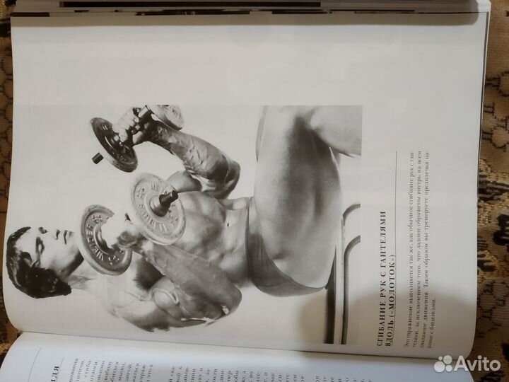 Энциклопедия бодибилдинга