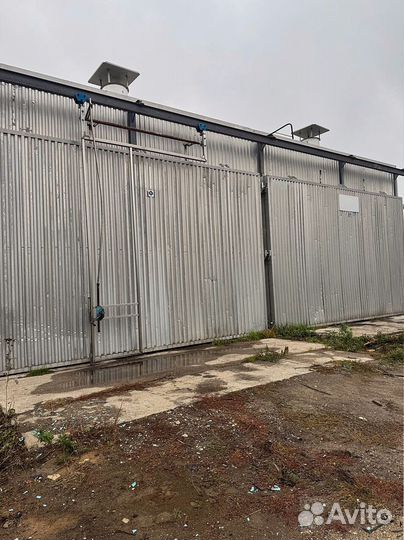 Полок 2 сорт