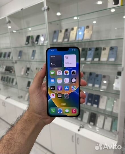 iPhone 13 Pro Max, 256 ГБ