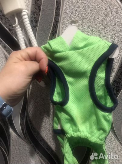 Костюм для чихуахуа мини